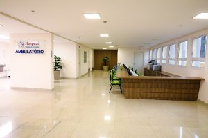 Covid-19 e Sagrada Família: entenda a atuação do hospital na ZL - HSF